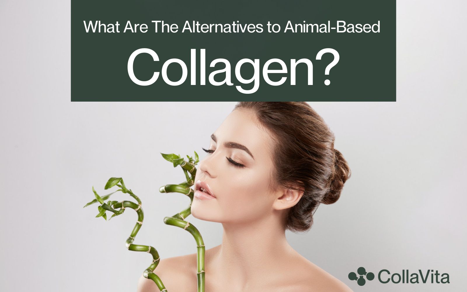 What Are The Alternatives to Animal-Based Collagen?