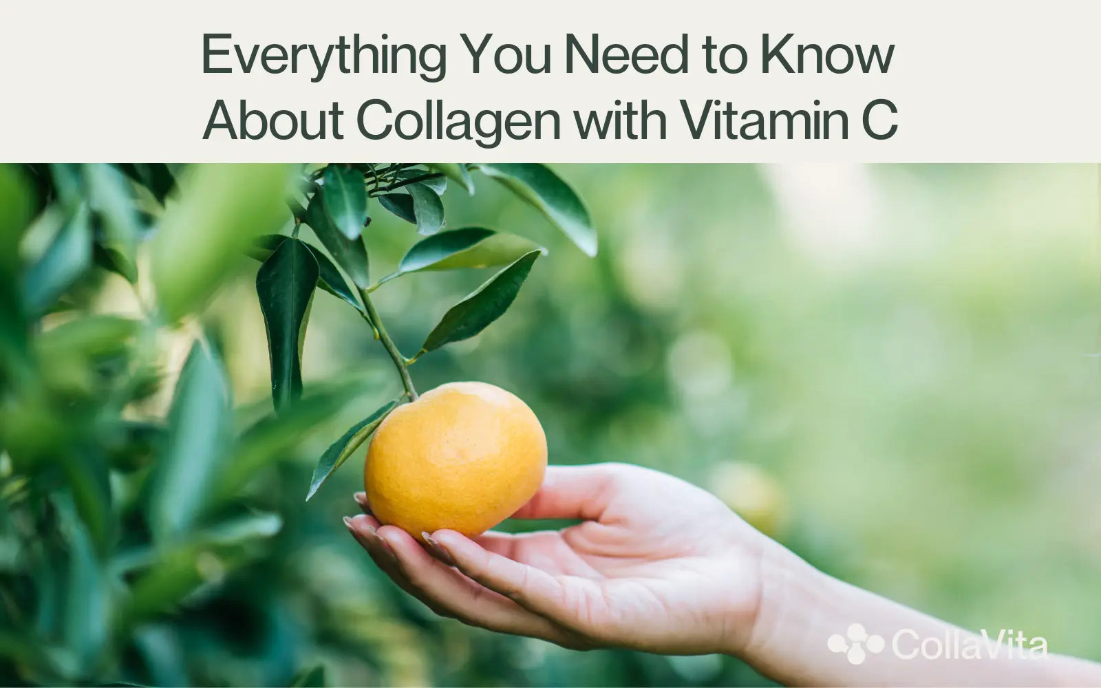 Everything You Need to Know About Collagen with Vitamin C-CollaVita
