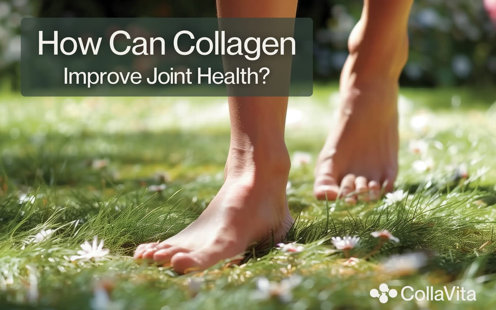 How Can Collagen Improve Joint Health?