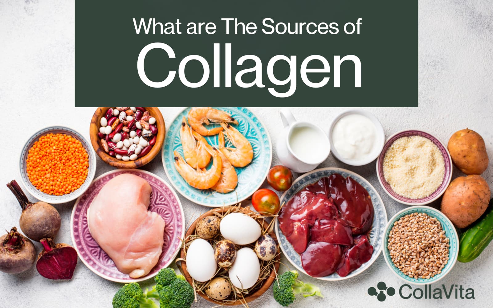 What Are The Sources of Collagen?