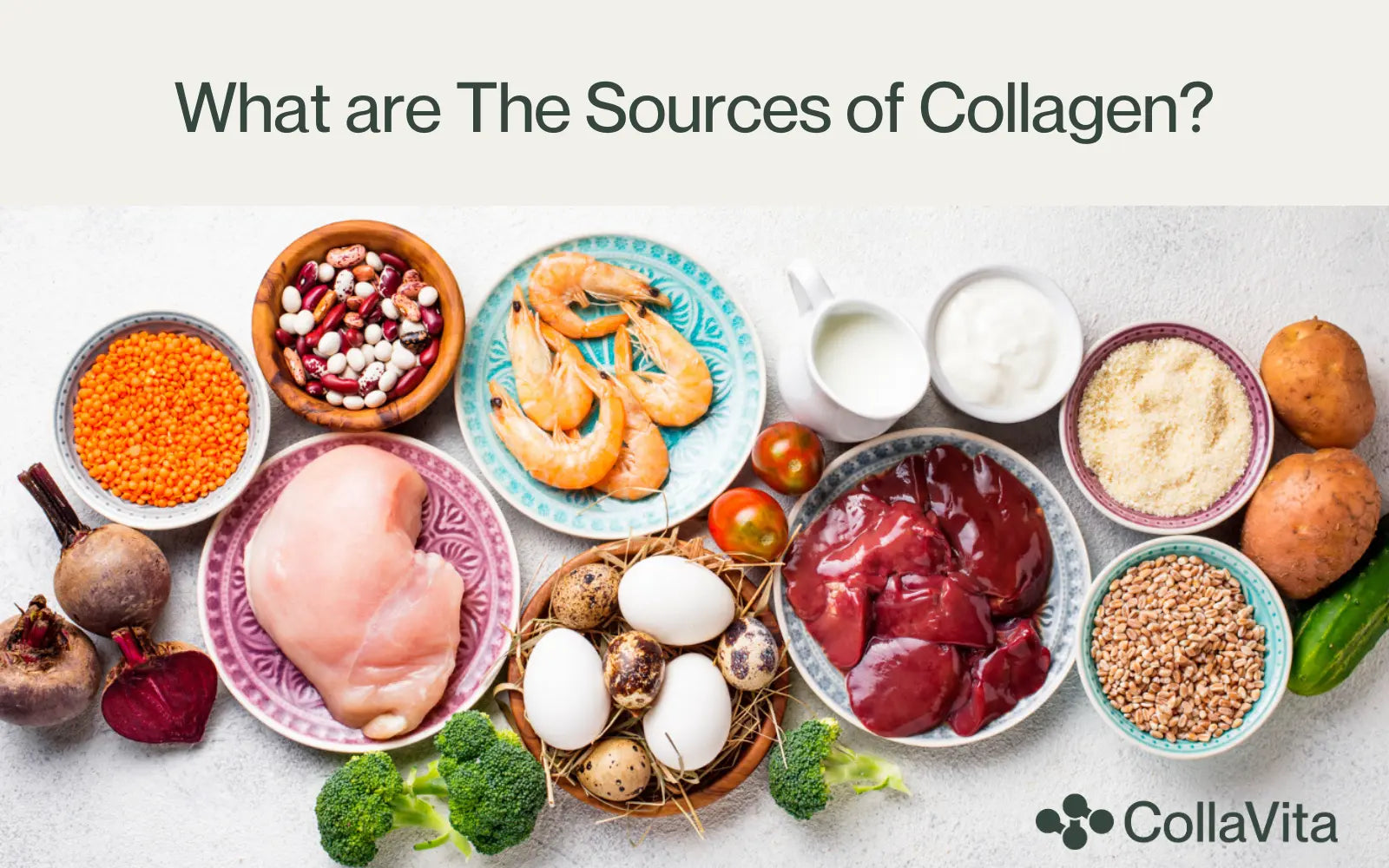 What are sources of collagen?-CollaVita