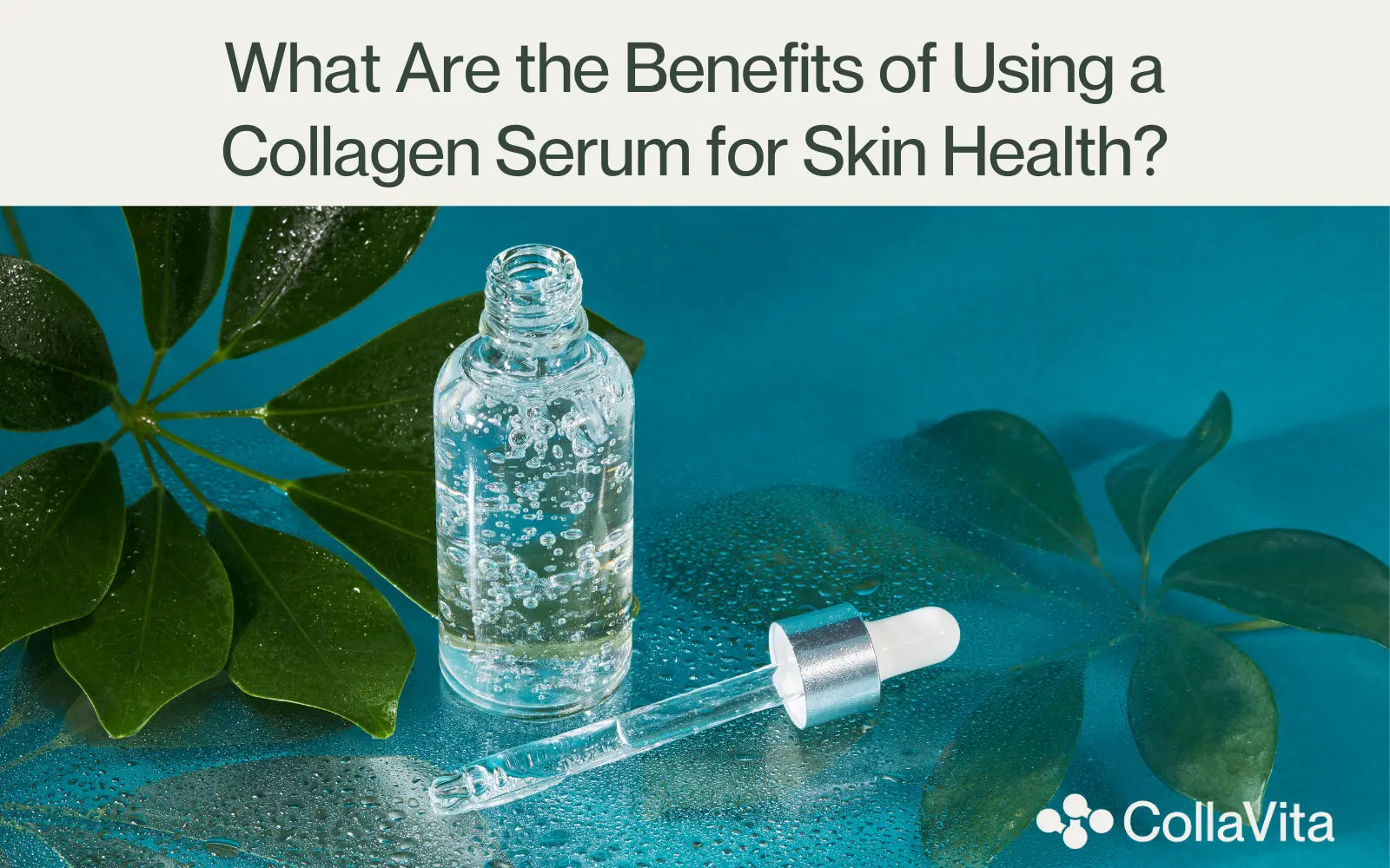 What are the benefits of using collagen serum for skin health-CollaVita